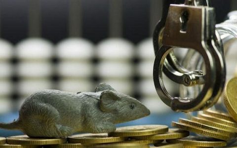 短线2026每日领头股票